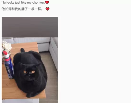 ����ɫɳĮ������²۸��Լ����˸������ˡ� ·��������