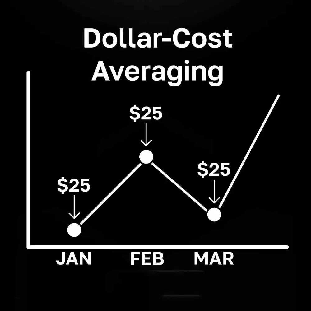 ���ܻ�����ô���ף��Ӷ��ߵ����ߵ���������ָ��