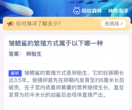 皱鳃鲨的繁殖方式属于以下哪一种 皱鳃鲨的繁殖方式属于以下哪一种