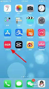 小红书ipad如何设置内容偏好-小红书iPad内容偏好设置方法 小红书ipad如何设置内容偏好-小红书iPad内容偏好设置方法