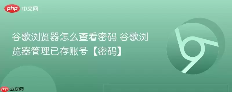 �ȸ��������ô�鿴����