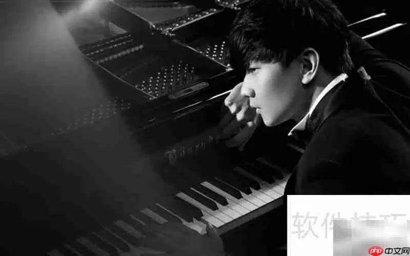 ����Ҫ�ĸ�ʸ����̵�