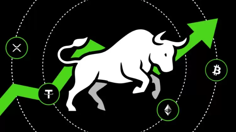 ţ�з�ֵָ�궼����Щ?���ܻ��ҽ����߱���֪��������ţ�з�ֵָ���̵�