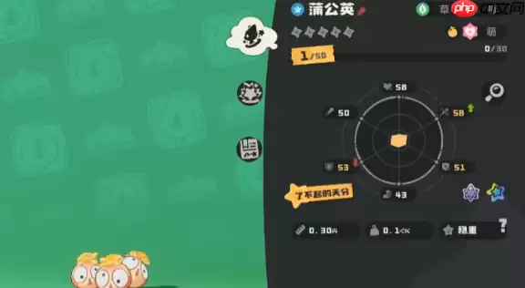 ��������������ѹ�Ӣ����