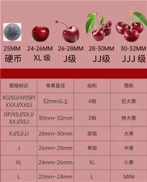 �����Ӵ�С�ȼ�J��ʲô��˼ ������2j3j4j��ʲô��˼