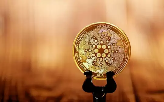 ��Ȧpump����Ǯһ��