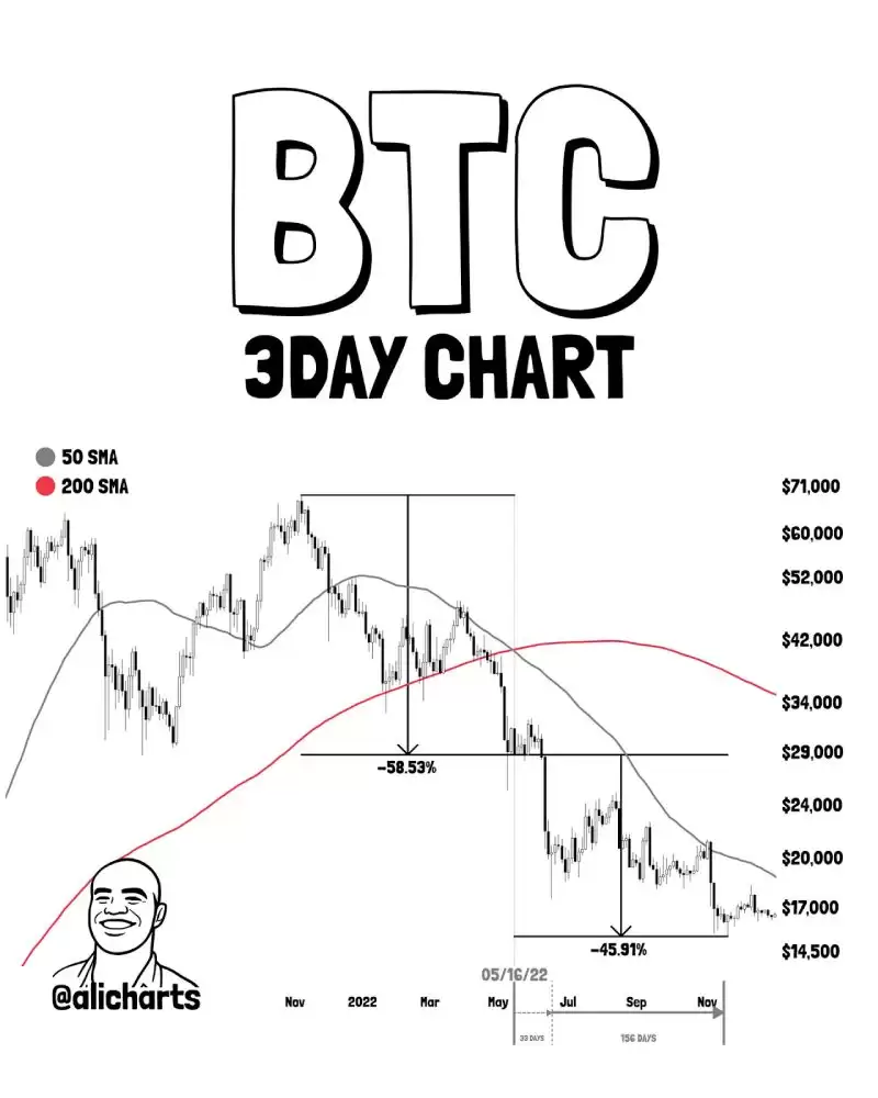 2026����ر�ţ�з���:��һ��BTCţ�п�ʼǰ����ϴ����Ҫ����