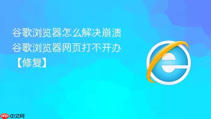 �ȸ��������ô�������
