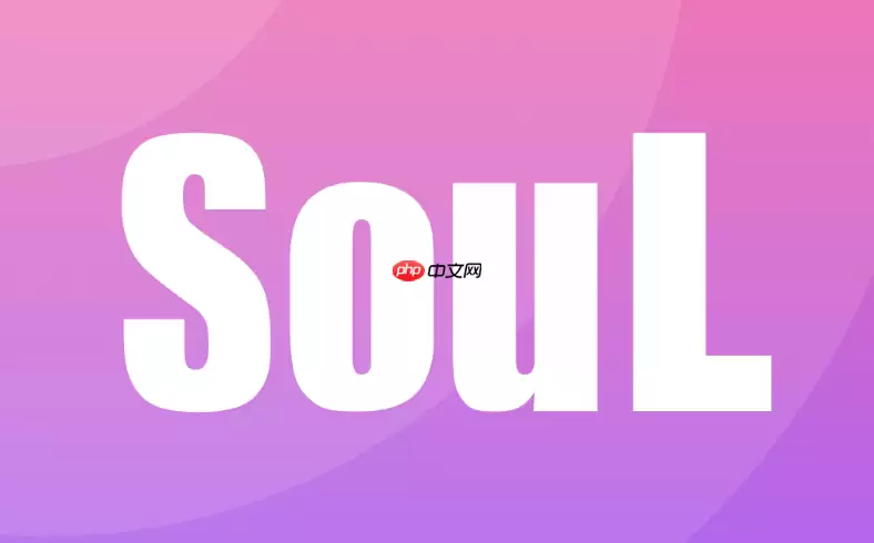 Soul��ô���ú�����