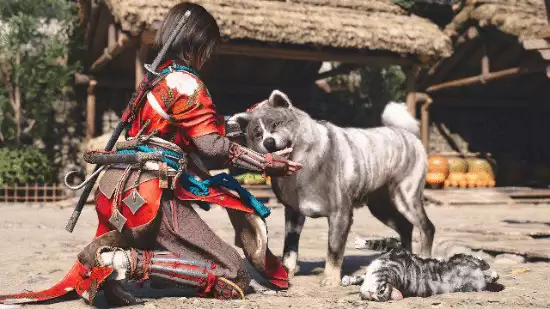 ���̿�������Ӱ������ֵ��ֵ������?��������һ��˵͸