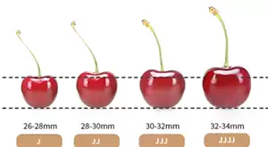 �����Ӵ�С�ȼ�J��ʲô��˼ ������2j3j4j��ʲô��˼