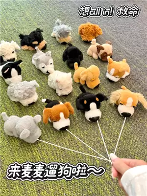 ��������TheDog��ͷ��ʲôʱ��ع����� ��������TheDog��ͷ����ô���