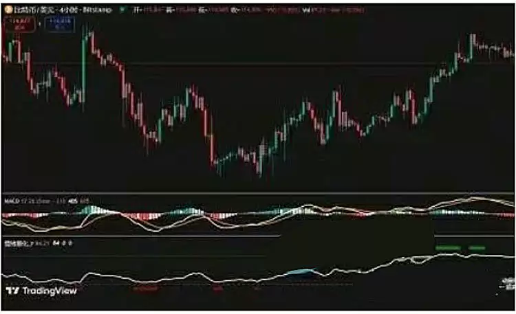 ���رң�BTC���ܹ۲���� :������ʢ�硹�����ѽӽ�β��