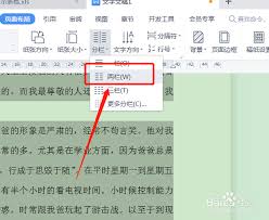 �����Word������˫���Ű�-Word�ĵ����ҷ�����ʾ�̳�