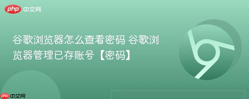 �ȸ��������ô�鿴����