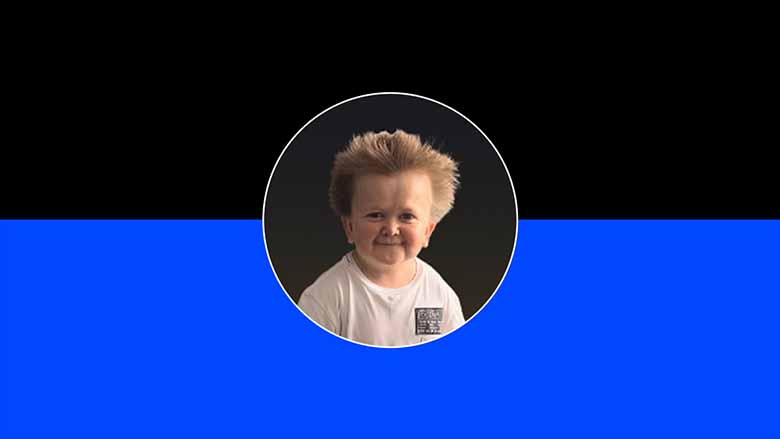 ʲô�� Bulla (BULLA) ����ң�ΪʲôBULLA��2026��2�������