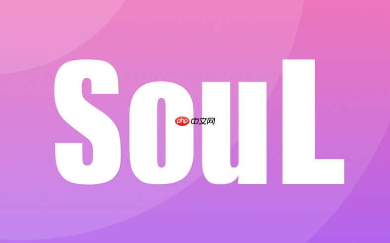 Soul��ô���ú�����