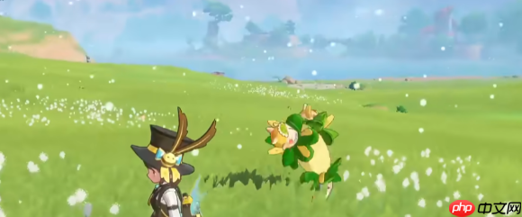 ��������������ѹ�Ӣ����