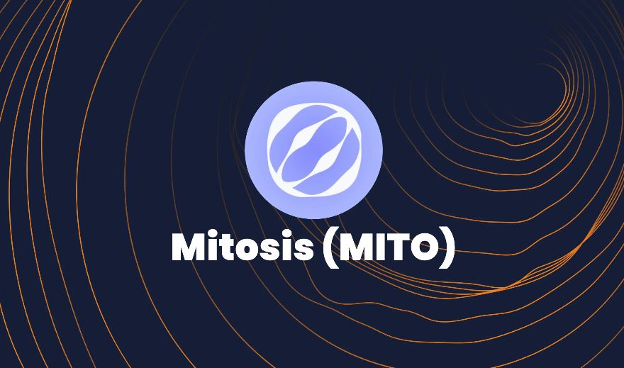 Mitosis��MITO����ȫ��ָ��:MITO��̬���ԡ����Ҿ���ѧ��۸�Ԥ��