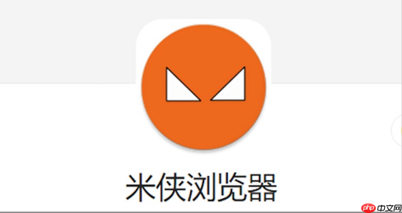 ���������ҳ����ʾ������