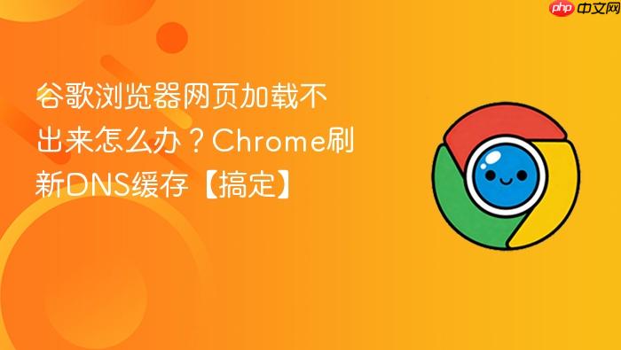 �ȸ��������ҳ���ز�������ô�죿Chromeˢ��DNS���桾�㶨��