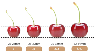 �����Ӵ�С�ȼ�J��ʲô��˼ ������2j3j4j��ʲô��˼