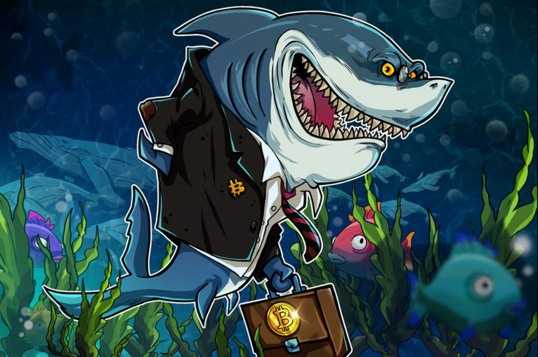 ���رҴ�����2013�����ڻ�BTC,����������