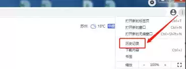 谷歌浏览器怎么查看历史记录-谷歌浏览器如何查看浏览历史 谷歌浏览器怎么查看历史记录-谷歌浏览器如何查看浏览历史