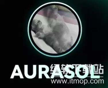 AURA�������������ͣ��Ƿ�߱�Ͷ�ʼ�ֵ��