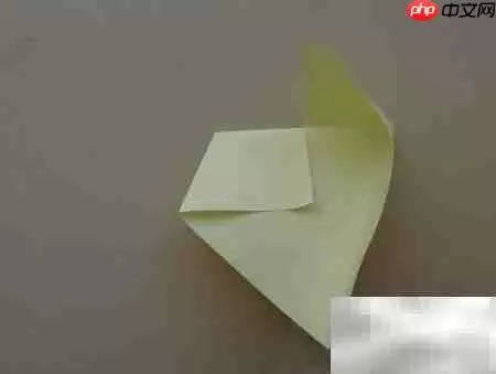 �ֹ���ֽС���̳�