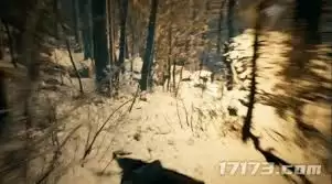 �ֿ���������ذ�װ-�ֿ�����ô�������ذ�װ