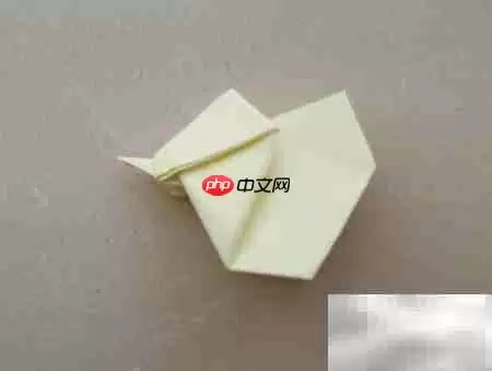 �ֹ���ֽС���̳�