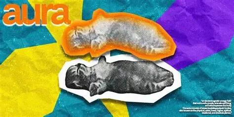 AURA�������������ͣ��Ƿ�߱�Ͷ�ʼ�ֵ��