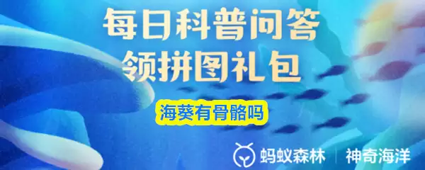 �����й�����