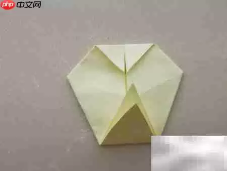 �ֹ���ֽС���̳�