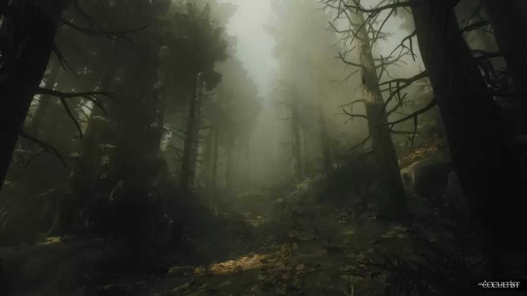 �����̽��ȫ��Ԥ�湫�� ʵ�����������չʾ