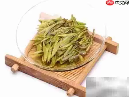 ��Ҷ���ڱ���С����_���ۿ�