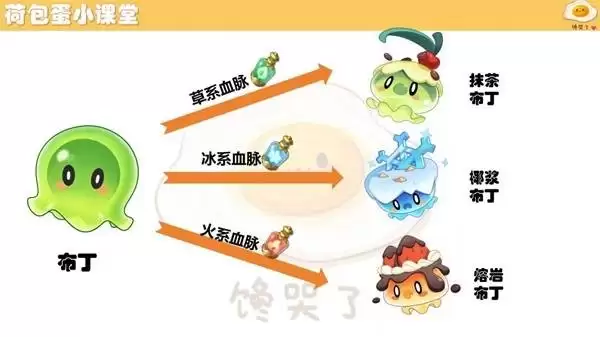 ����������羫�����ؽ�������һ��