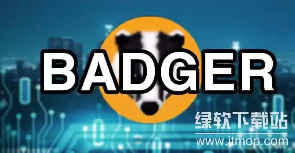 Badger����������ʲô,Badger���Ƿ�ֵ��Ͷ�ʣ�