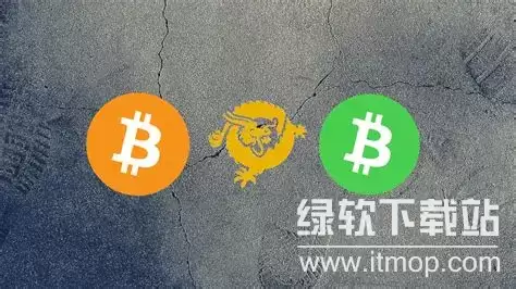 BSV�Һ�BCH���ĸ����ţ�������������Щ�Աȷ�����