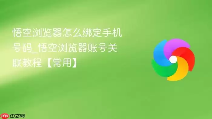 ����������ô���ֻ�����