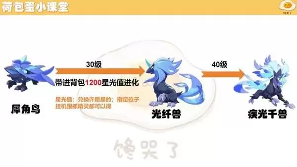 ����������羫�����ؽ�������һ��