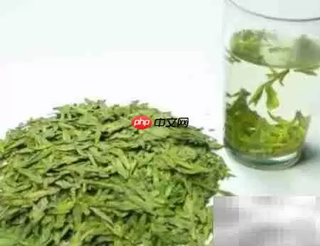 ��Ҷ���ڱ���С����_���ۿ�