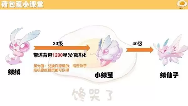 ����������羫�����ؽ�������һ��