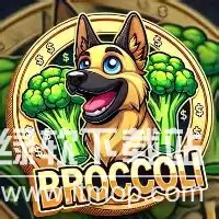 ����������ʲô���ֻ��ң����Ļ�����������Щ���ܣ�