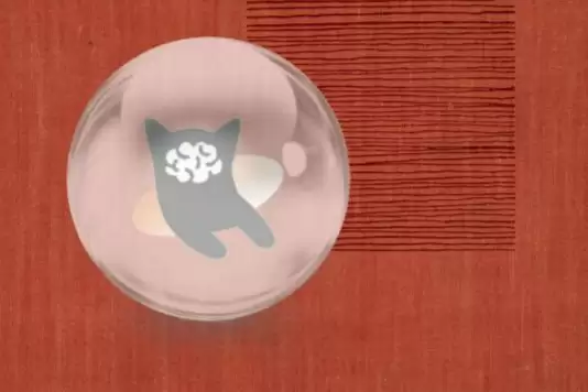 fil�һ���ϣ����