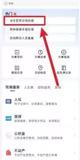 鄂汇办app如何办理出生证明-鄂汇办app办理出生证明的方法 鄂汇办app如何办理出生证明-鄂汇办app办理出生证明的方法