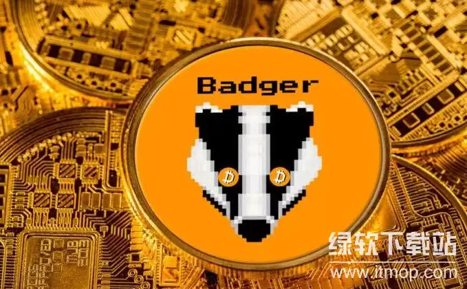 badger��Ǳ������,badger��Ǳ�����������