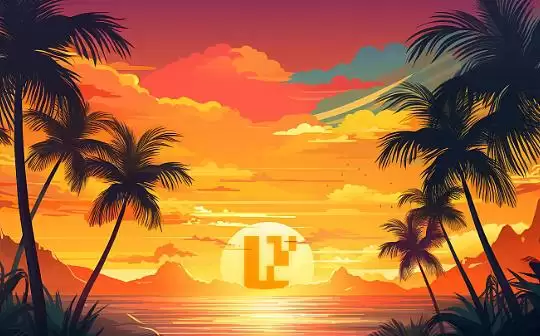 aidoge���������