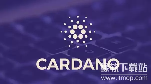 Cardano��̬������ʲô��ר�ҽ���ADA��SOL����·�߲���